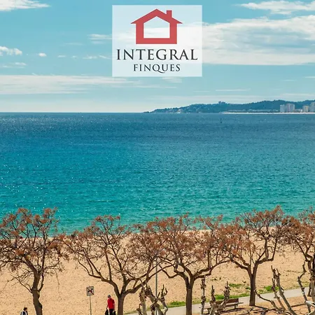 La Vela 팔라모스